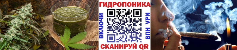 Печенье с ТГК марихуана  Купить где  Андреаполь 